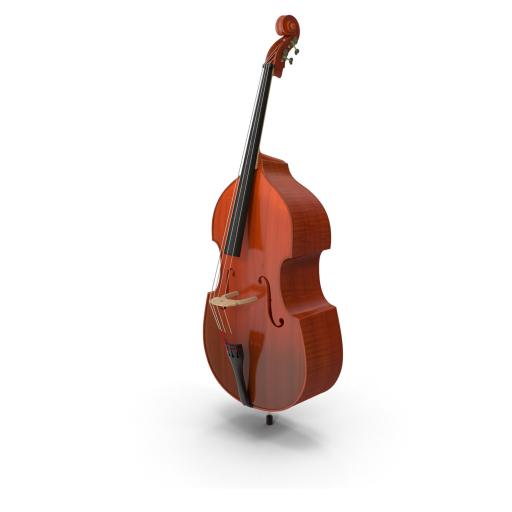 Streichinstrumente Kontrabass